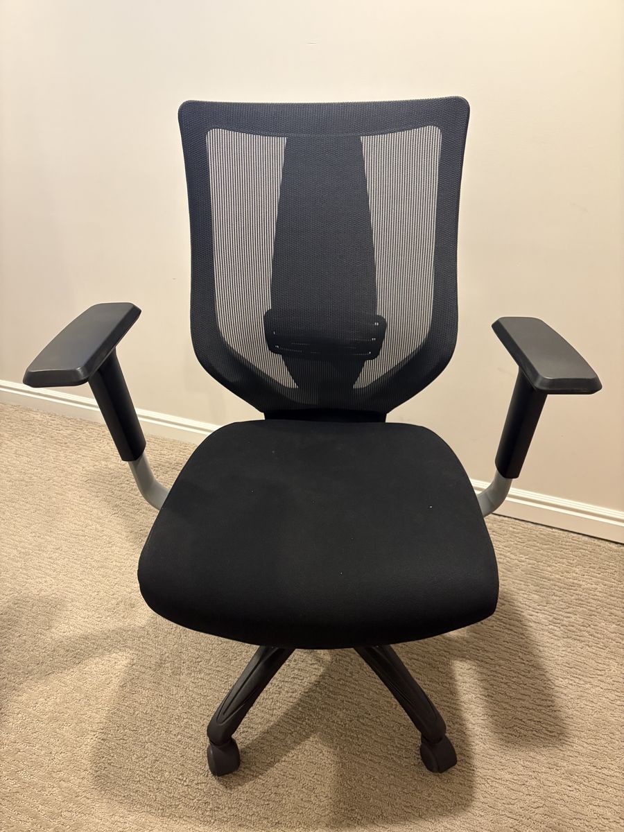True Innovations Mesh Office Chair