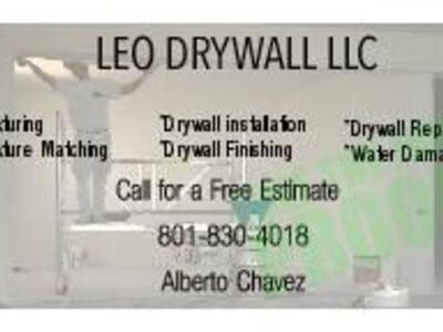 LEO DRYWALL LLC