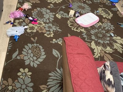 8x10 Floral Area Rug – $60