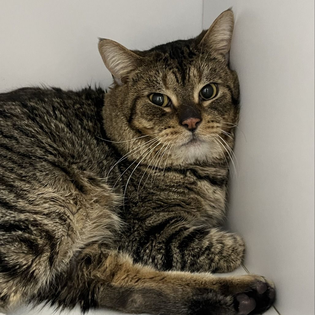 Hello my name is Butch