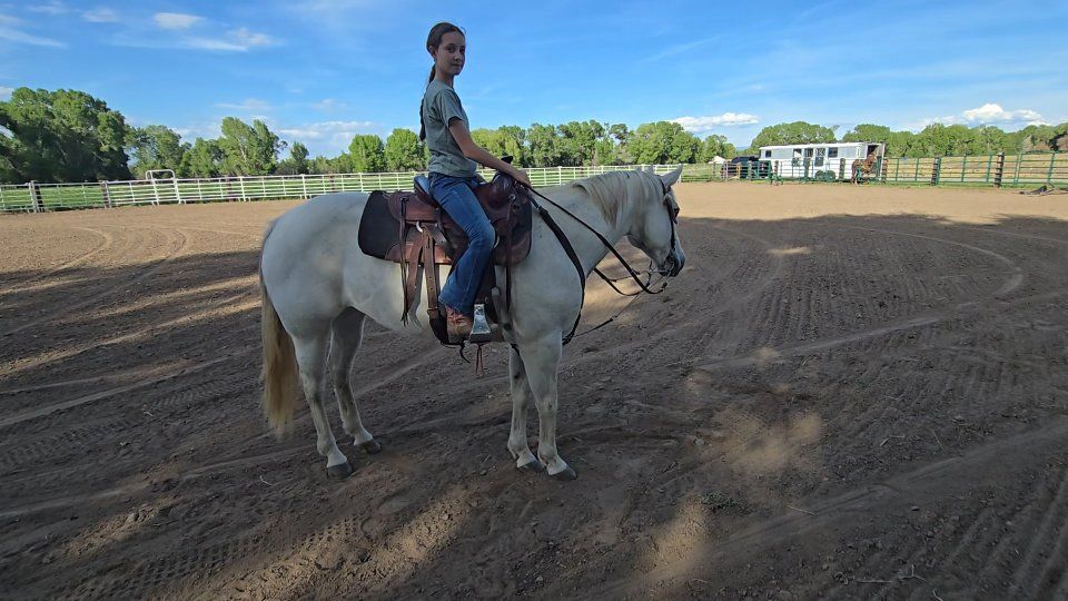 Kids horse for sale