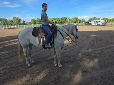 Kids horse for sale