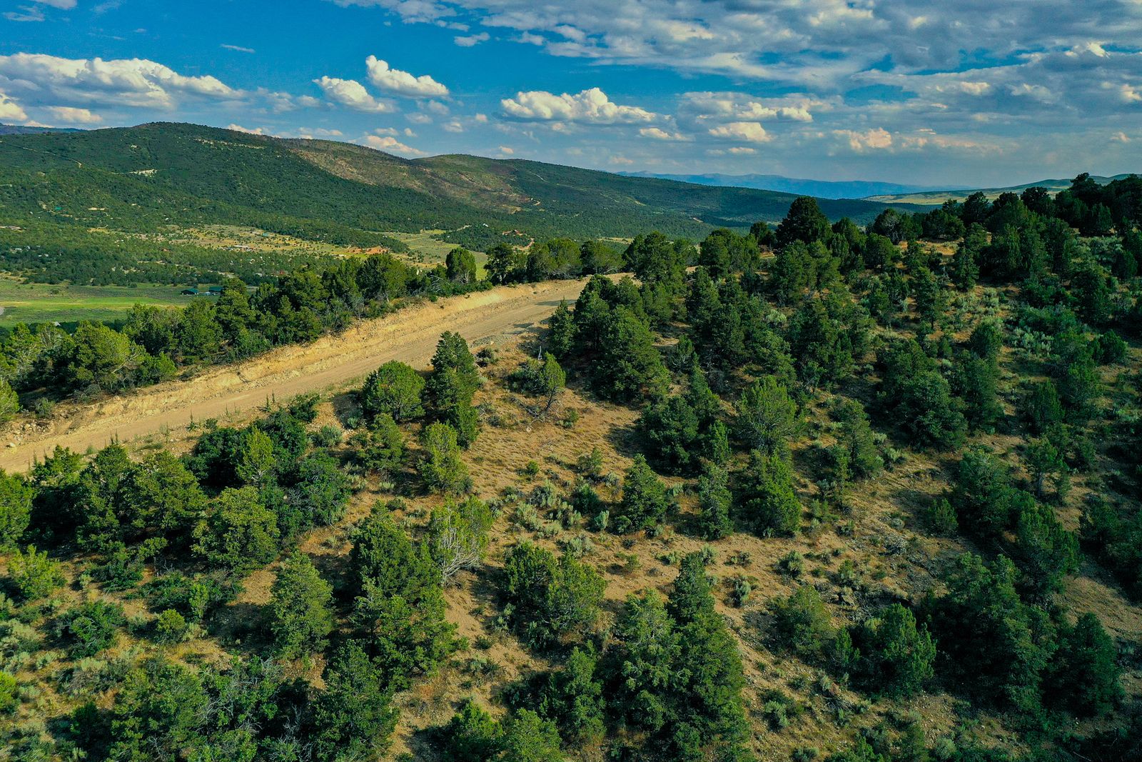 Estate Living, Redefined.  1-6 +Acre Lots