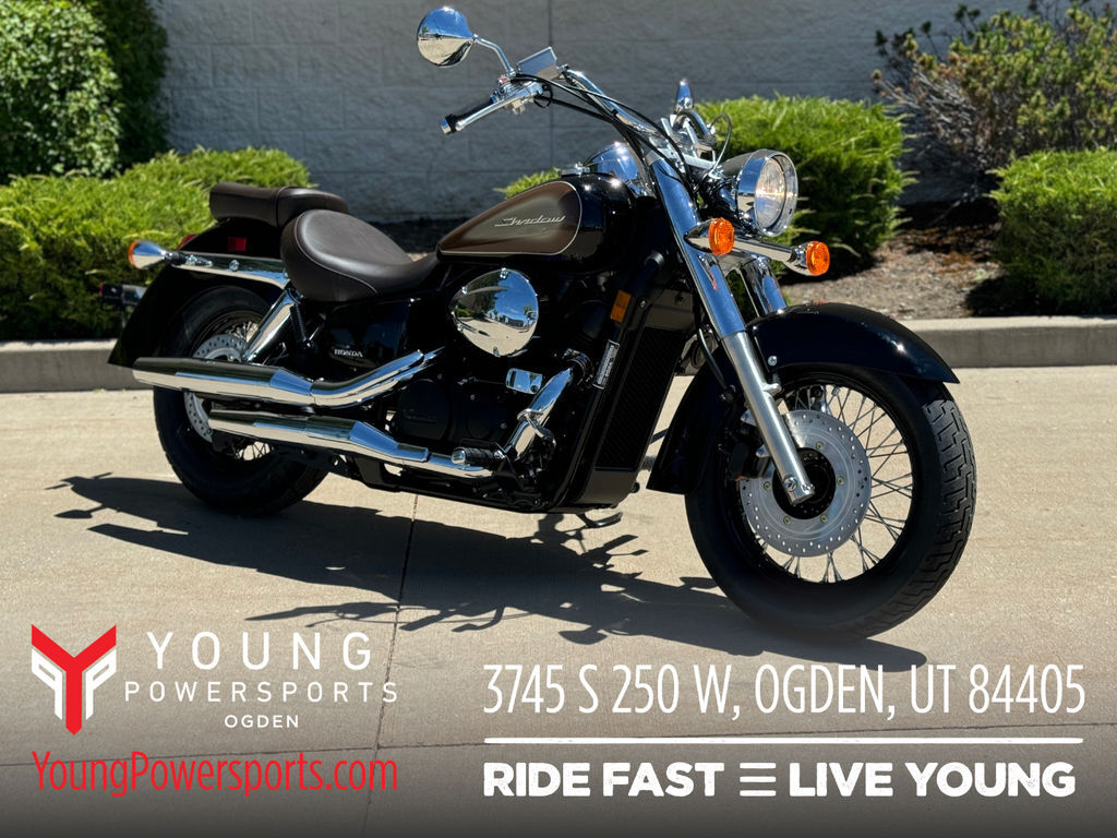 2024 Honda® Shadow Aero