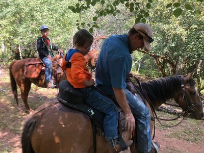 15-year-old AQHA registered Kids Horse