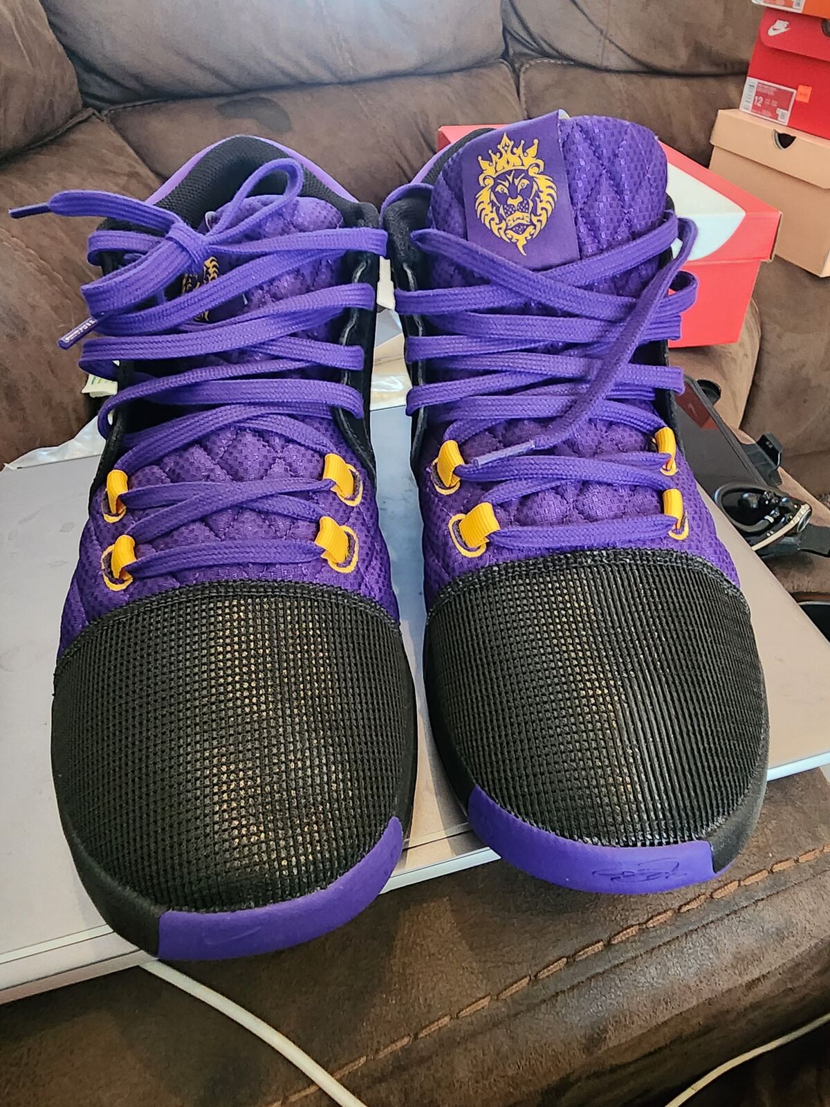 Nike Lebron Witness VIII