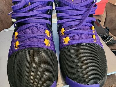 Nike Lebron Witness VIII