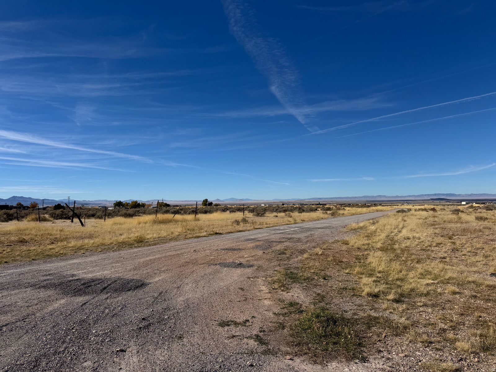 Main image 5