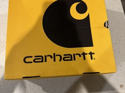 BRAND NEW Carhart 6-INCH STEEL TOE WORK BOOT