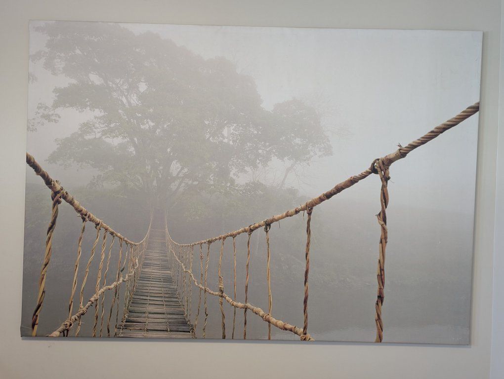 Large Canvas Wall Art- Ikea