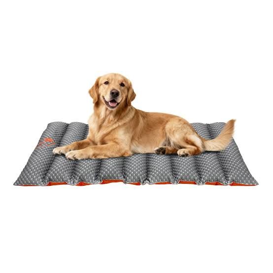 Brentwood Originals Brentwoof Cooling Travel Pet Mat 1935076  #106927