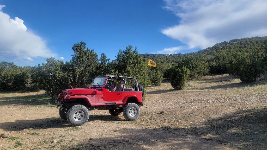 1992 Wrangler - Open to Trades