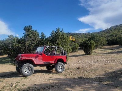 1992 Wrangler - Open to Trades