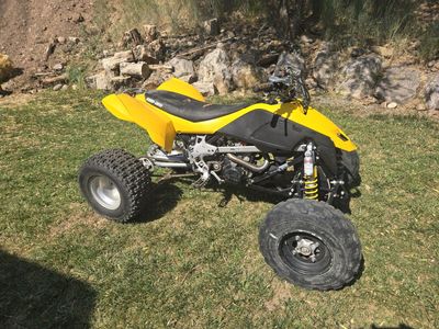 08 canam ds 450
