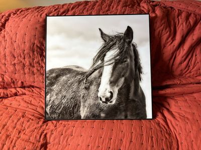 Beautiful Horse Art
