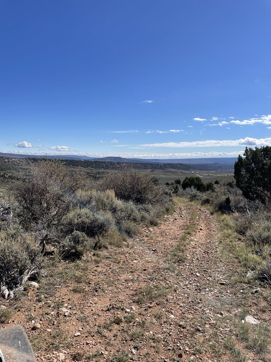 5 acres near Fruitland