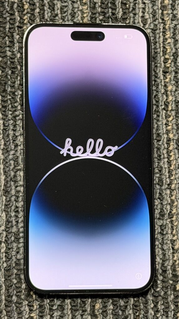 iPhone 14 Pro Max 256 GB - Unlocked