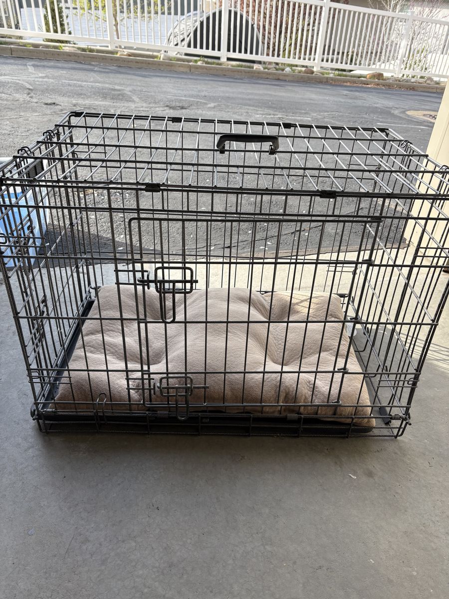 Petco Mid-size Dog Crate