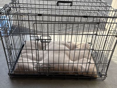 Petco Mid-size Dog Crate