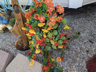 MOTHER'S DAY SPECIAL Tricycle planter new located