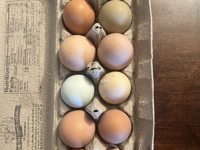 Farm fresh Eggs