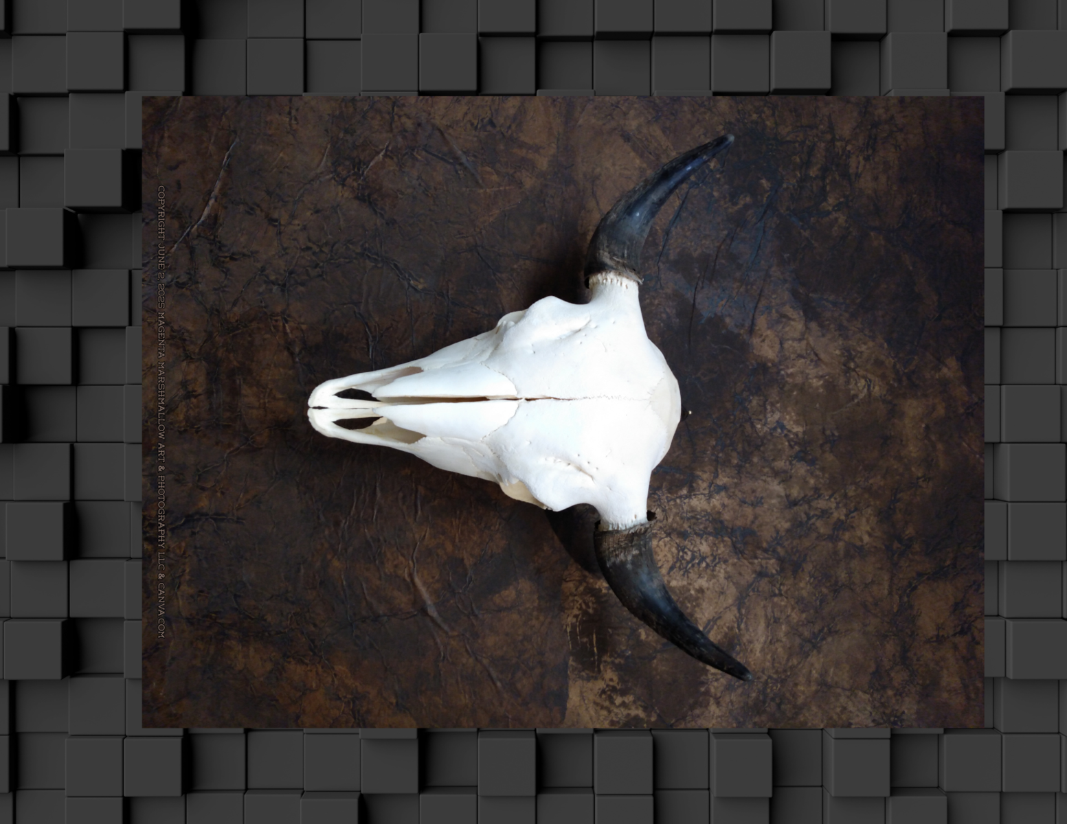 Bison Skull - Premium Plush Pillow