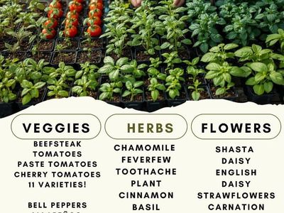 Tons of herbs! Tomatoes! Flowers!