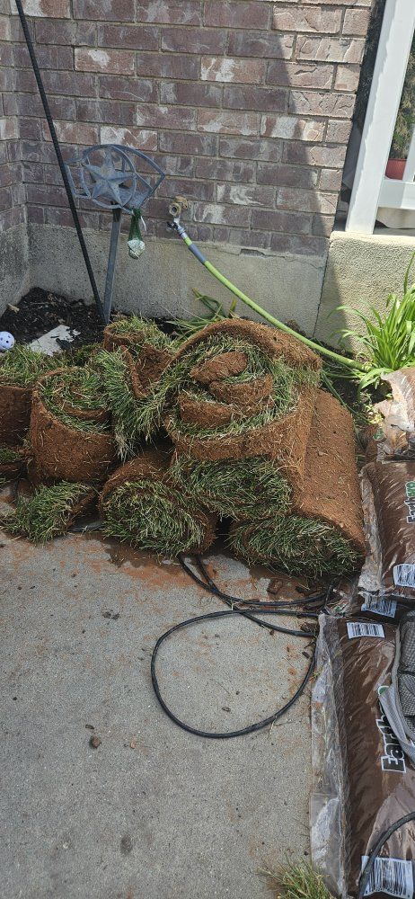 rolls of sod