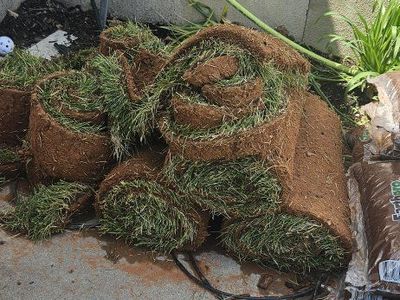 rolls of sod
