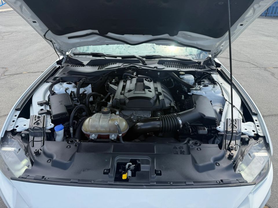 Main image 3