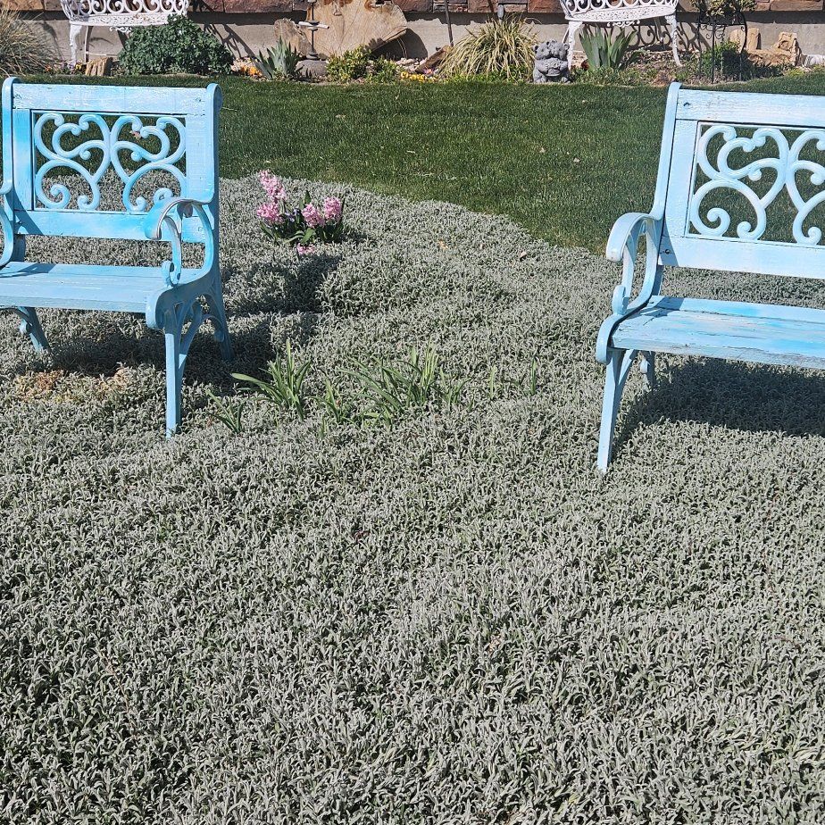 2 heavy duty lawn chairs