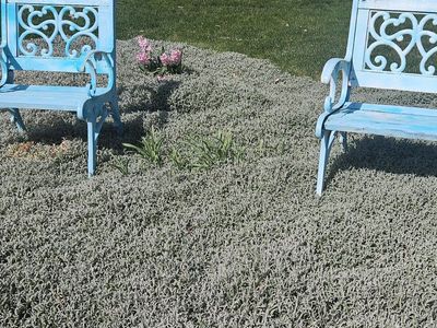 2 heavy duty lawn chairs