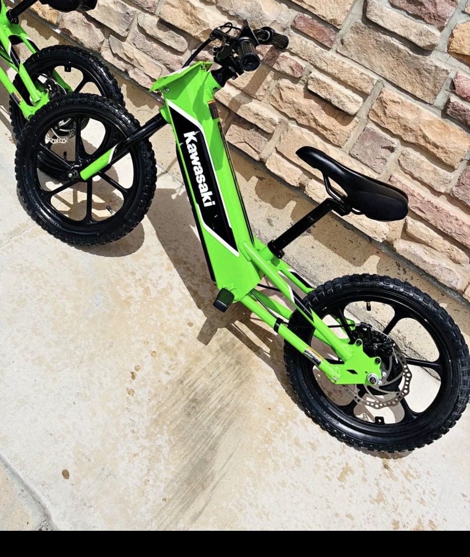 2020 Kawasaki electrode 16”