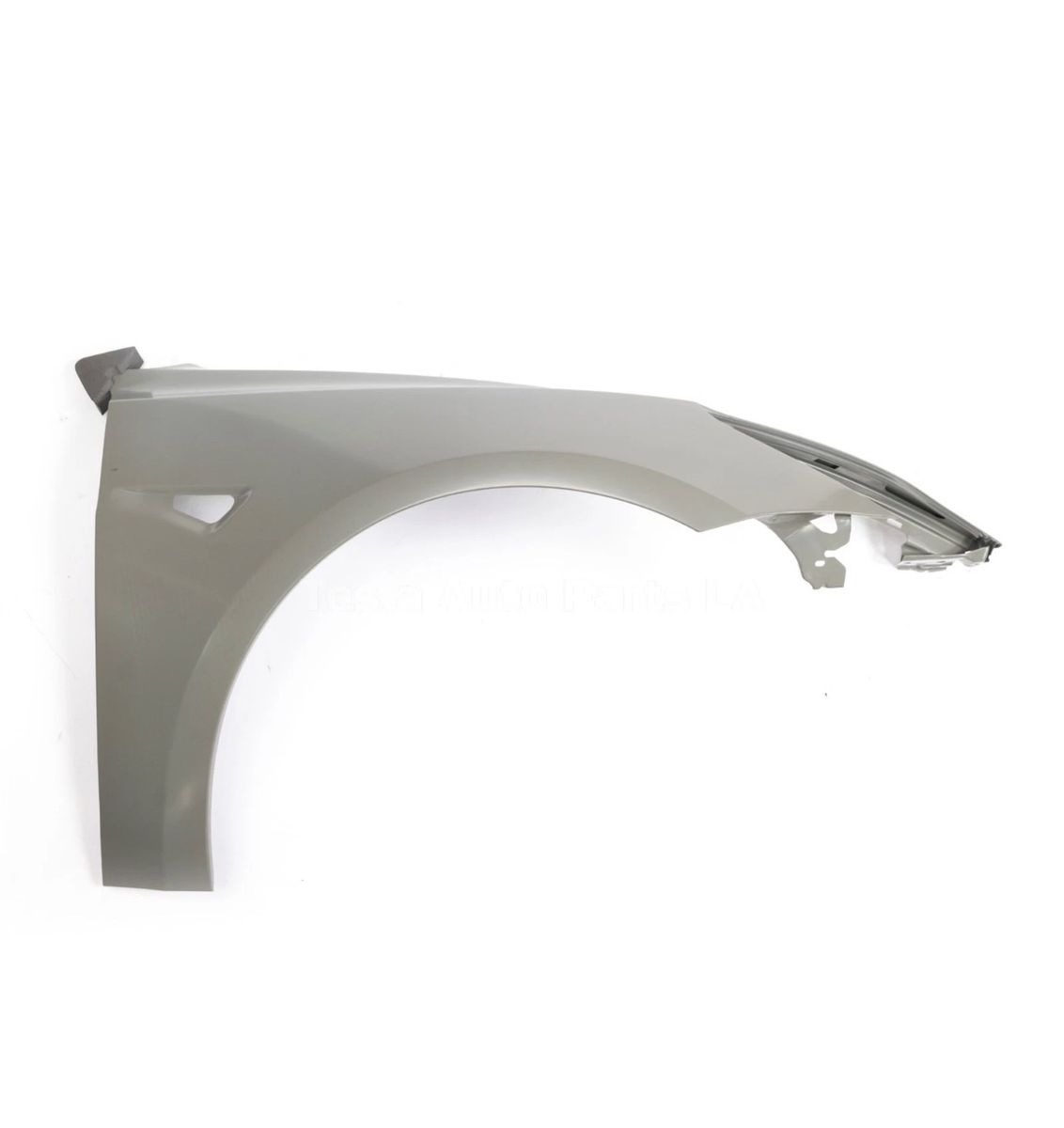 Tesla Model 3 fender