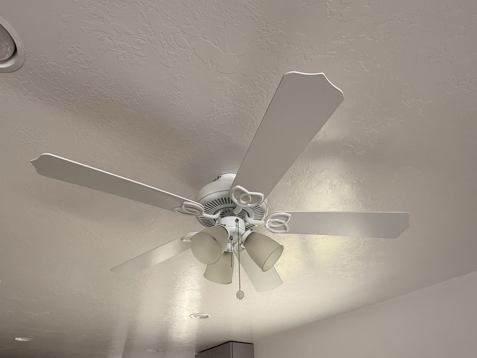 White fan