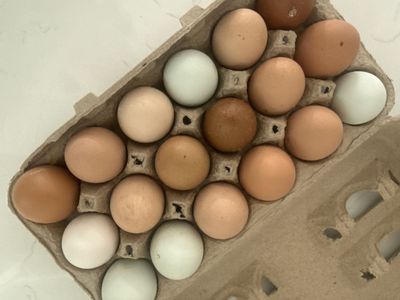 Farm Fresh Eggs