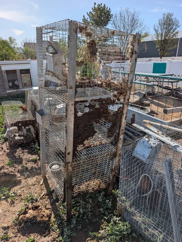 rabbit cages for sale