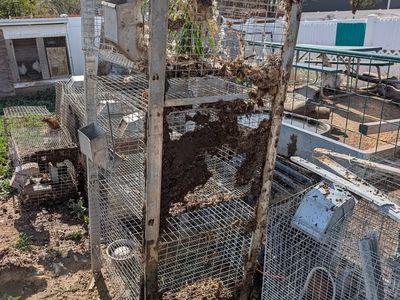 rabbit cages for sale