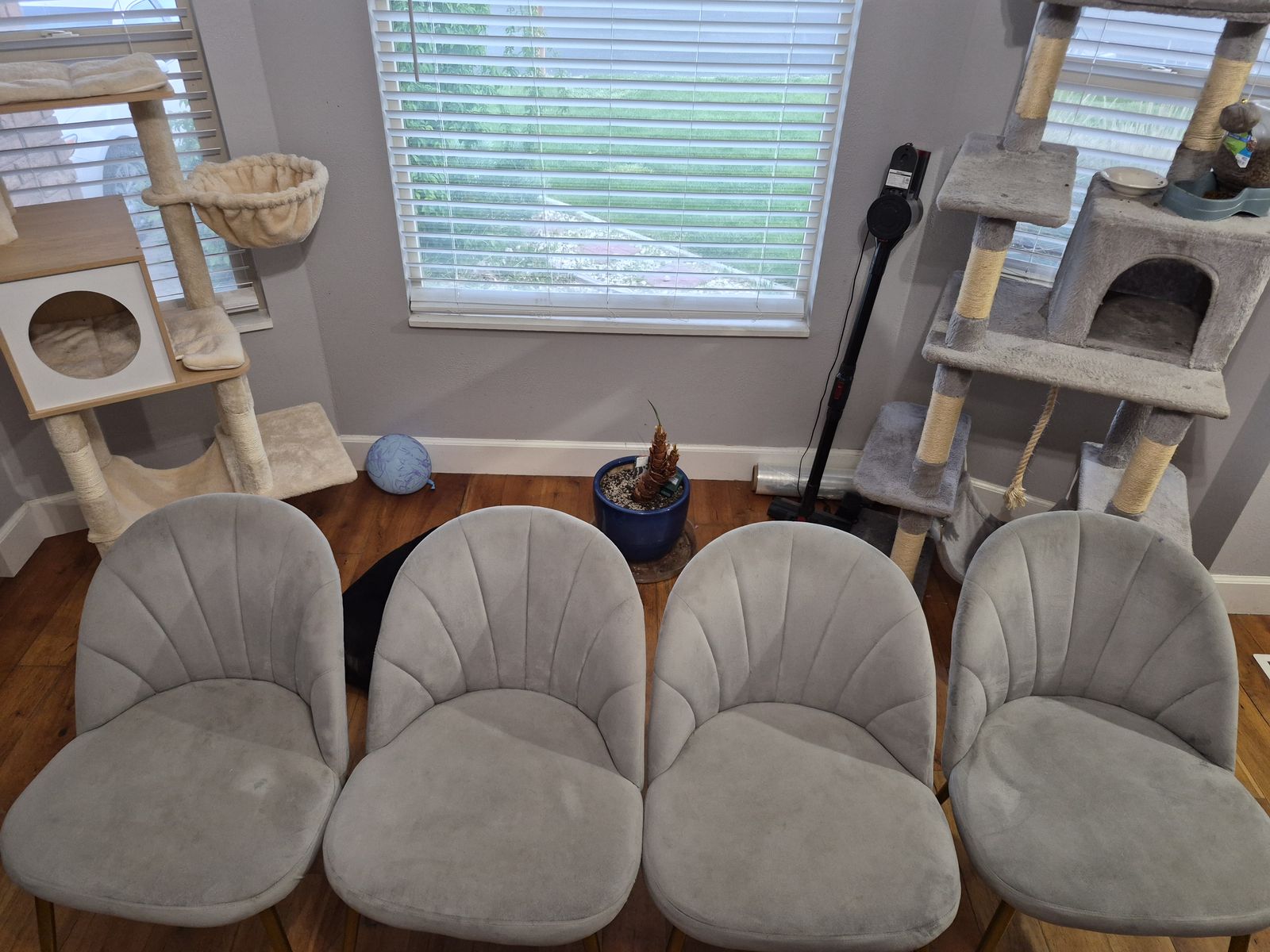 55" rectangle table and 4 velvet chairs