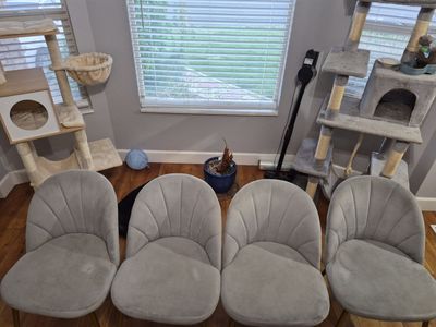 55" rectangle table and 4 velvet chairs