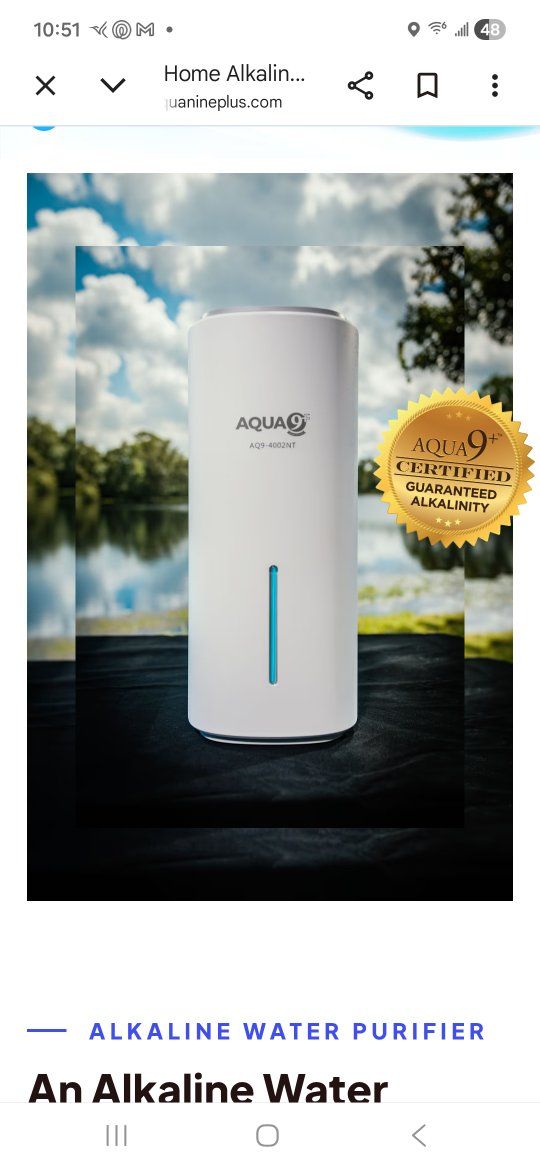 Alkaline water purification system