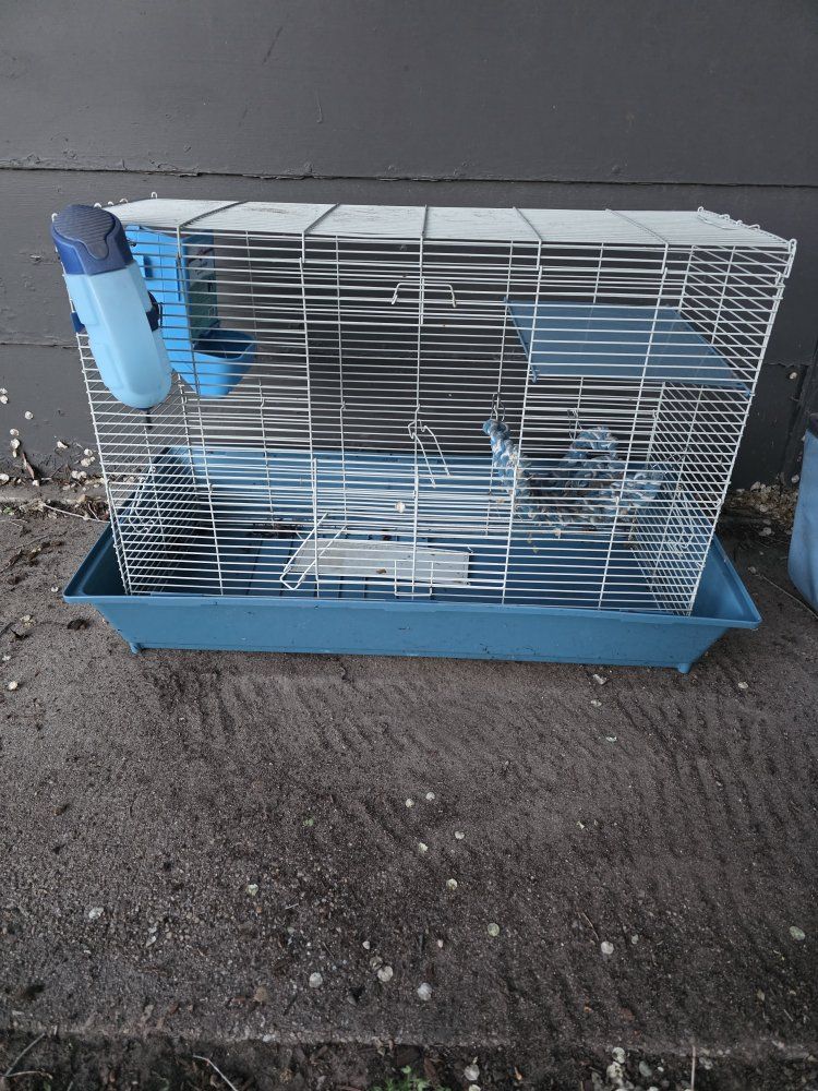 rat cage