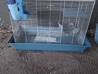 rat cage