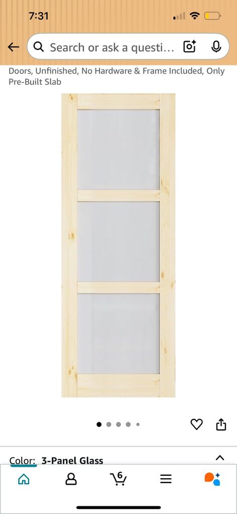 New 2 Panel Sliding Closet Door Frosted Glass