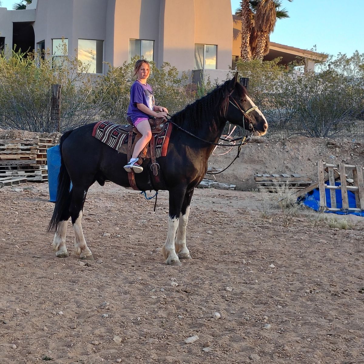 Wow look at this beauty!!