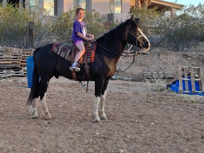 Wow look at this beauty!!