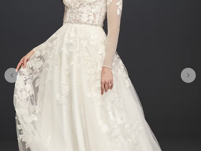 Never Worn - David's Bridal Galina Signature Bridal Gown SWG820