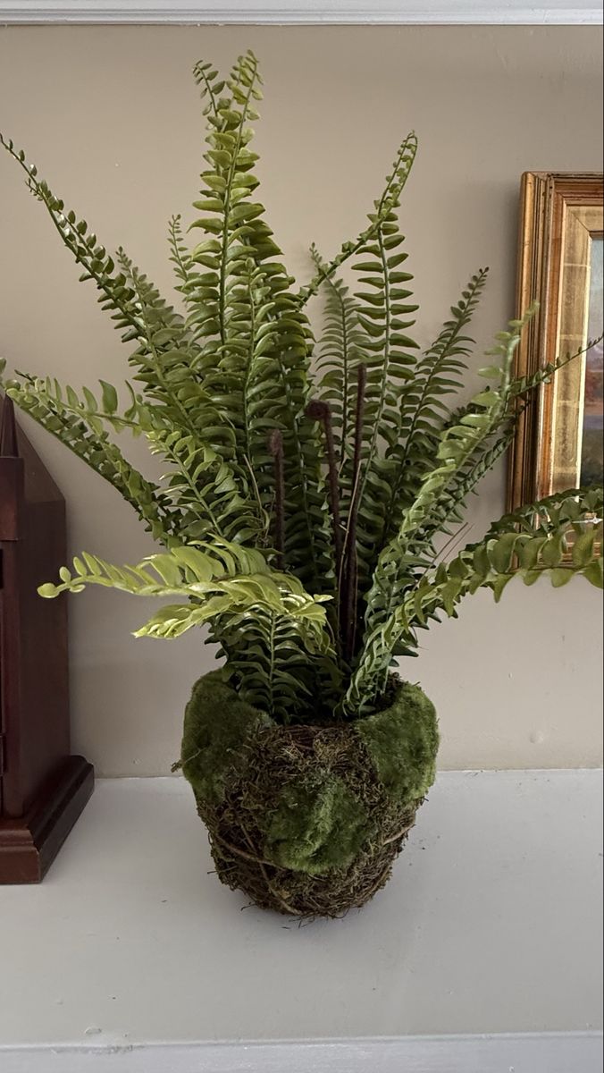 Main image 5