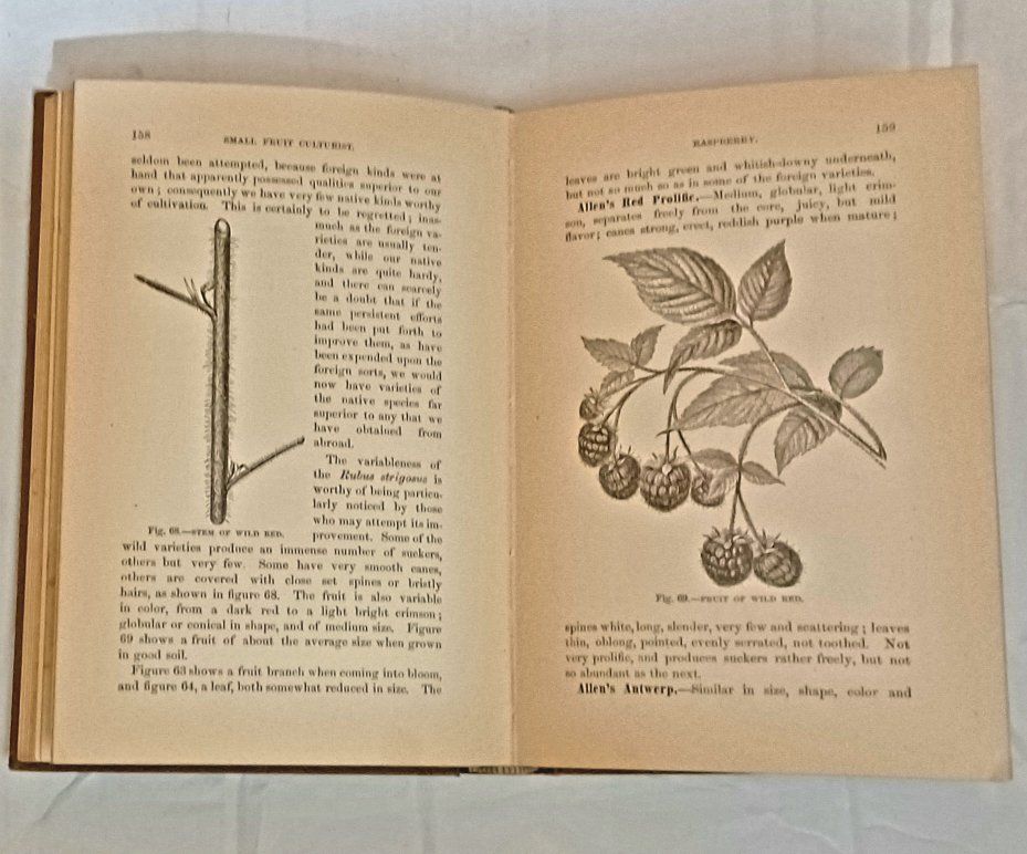 Main image 4