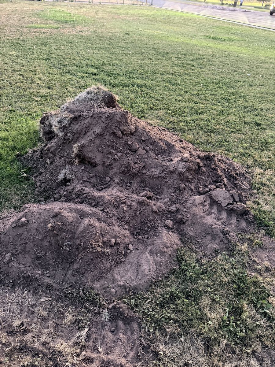 Free dirt